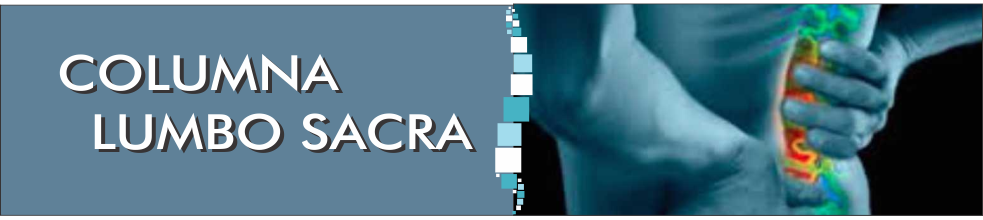 cadera adulto